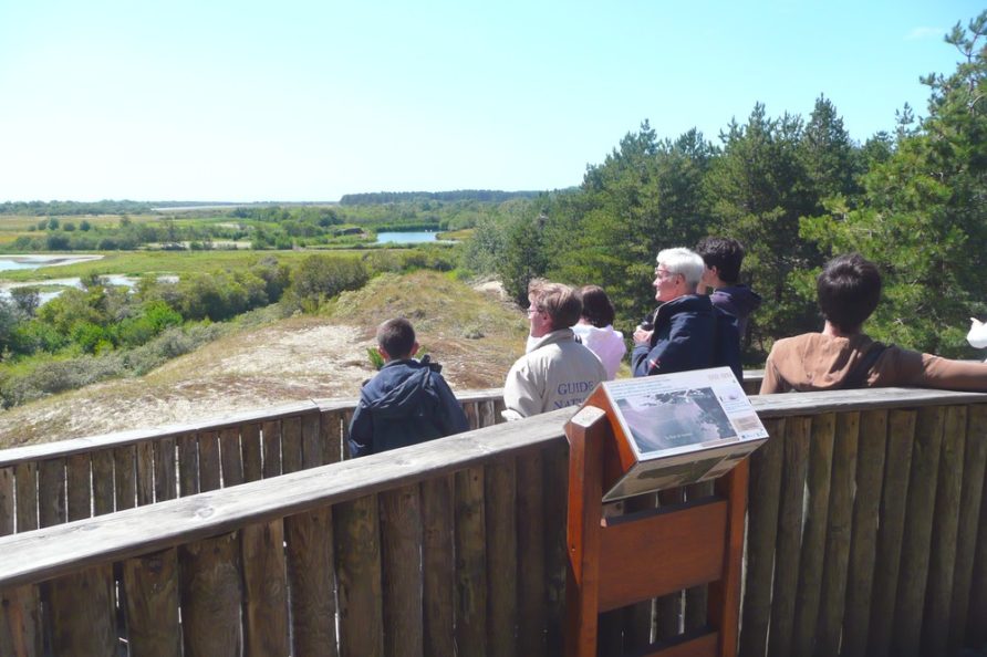 Découverte du parc ornithologique du Marquenterre en Baie de Somme - à 10mn du Crotoy