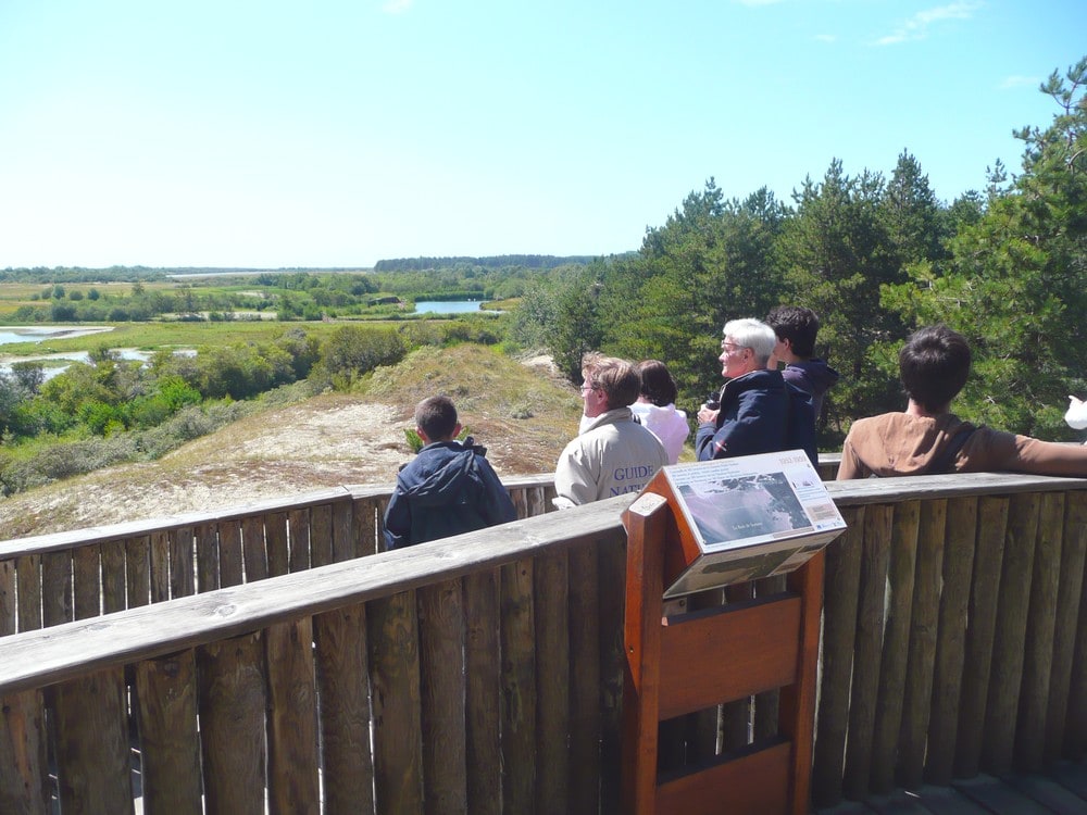 Découverte du parc ornithologique du Marquenterre en Baie de Somme - à 10mn du Crotoy