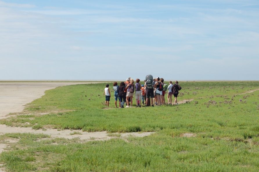 Traversée à pied en Baie de Somme avec un guide nature spécialisé au départ du Crotoy