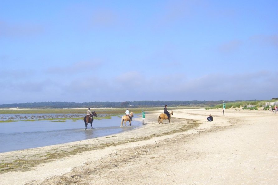 Promenade à cheval sur la plage du Crotoy en Baie de Somme